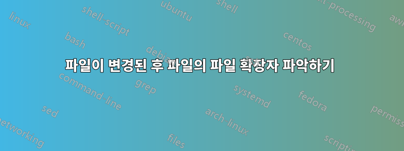 파일이 변경된 후 파일의 파일 확장자 파악하기