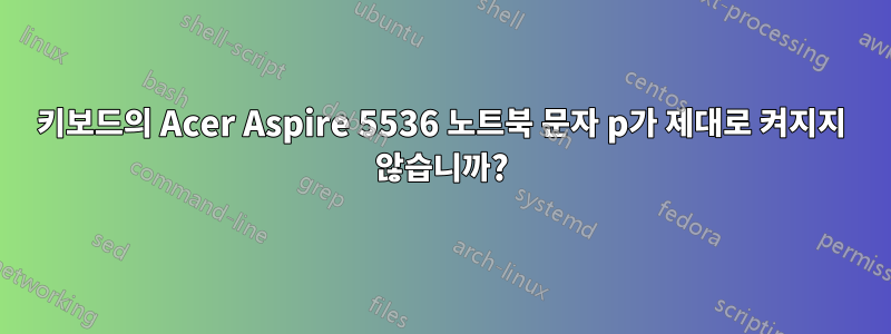 키보드의 Acer Aspire 5536 노트북 문자 p가 제대로 켜지지 않습니까?