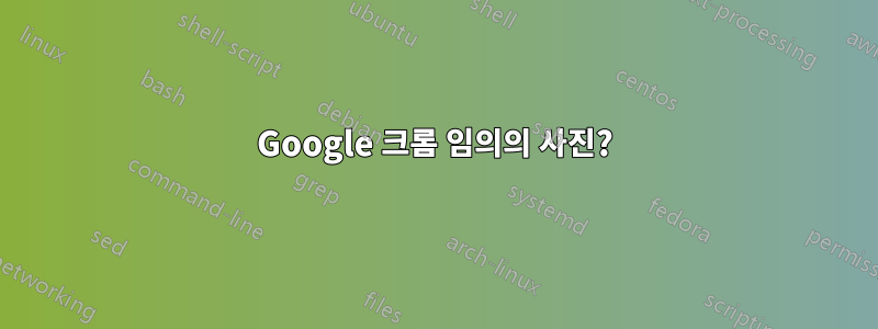 Google 크롬 임의의 사진?