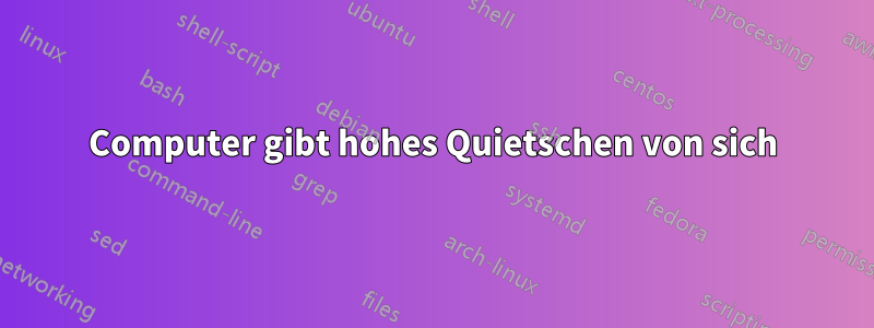 Computer gibt hohes Quietschen von sich