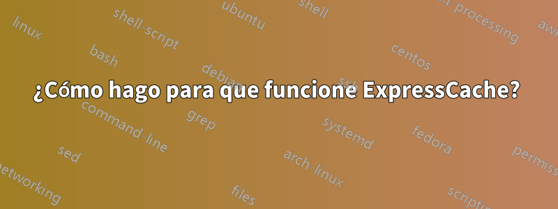¿Cómo hago para que funcione ExpressCache?