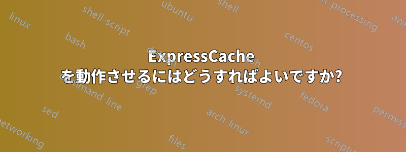 ExpressCache を動作させるにはどうすればよいですか?