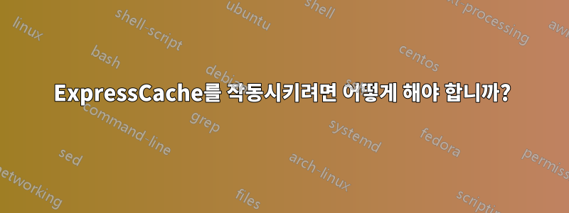 ExpressCache를 작동시키려면 어떻게 해야 합니까?