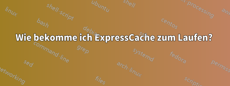 Wie bekomme ich ExpressCache zum Laufen?