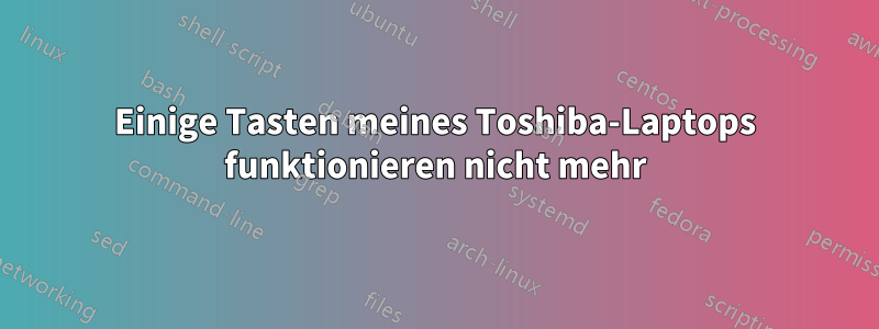 Einige Tasten meines Toshiba-Laptops funktionieren nicht mehr