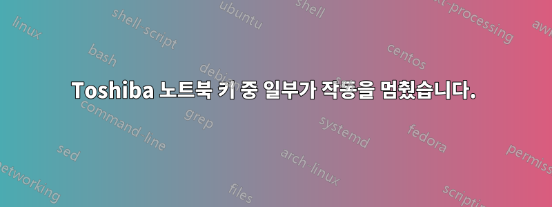 Toshiba 노트북 키 중 일부가 작동을 멈췄습니다.
