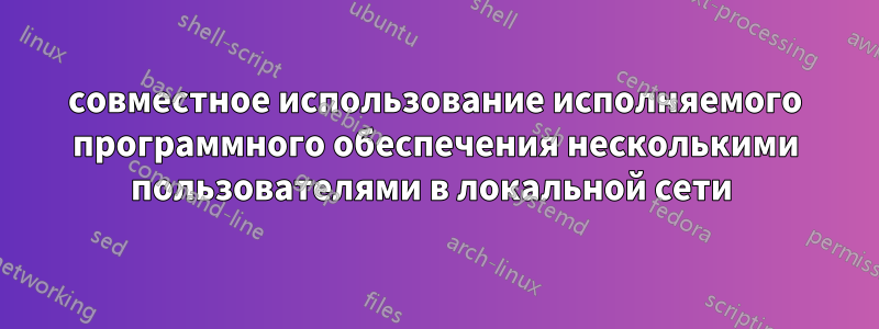 совместное использование исполняемого программного обеспечения несколькими пользователями в локальной сети 