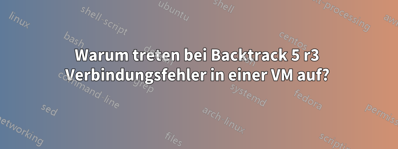 Warum treten bei Backtrack 5 r3 Verbindungsfehler in einer VM auf?