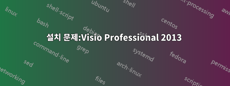 설치 문제:Visio Professional 2013
