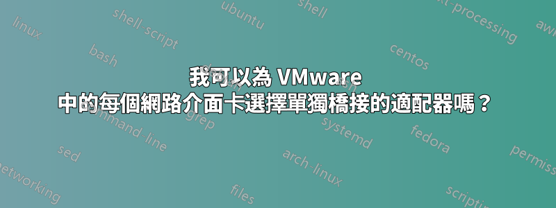 我可以為 VMware 中的每個網路介面卡選擇單獨橋接的適配器嗎?