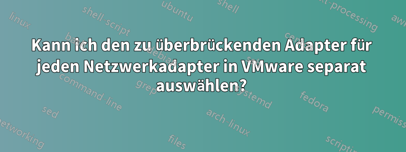 Kann ich den zu überbrückenden Adapter für jeden Netzwerkadapter in VMware separat auswählen?