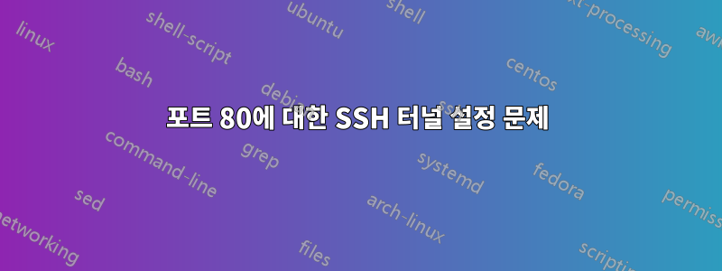 포트 80에 대한 SSH 터널 설정 문제