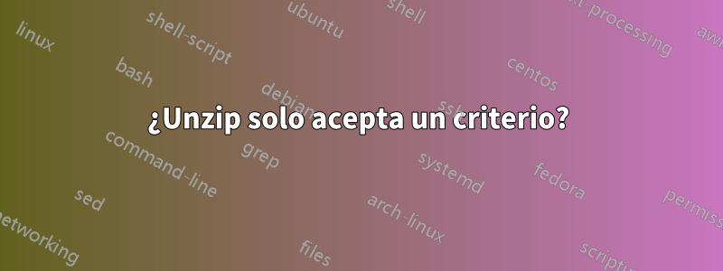 ¿Unzip solo acepta un criterio?