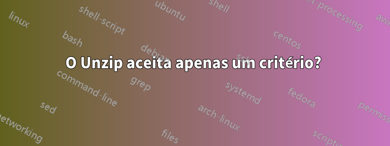 O Unzip aceita apenas um critério?