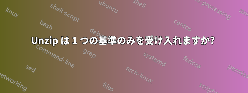 Unzip は 1 つの基準のみを受け入れますか?