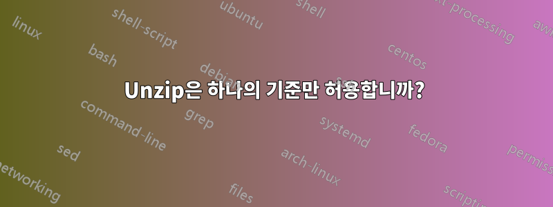 Unzip은 하나의 기준만 허용합니까?