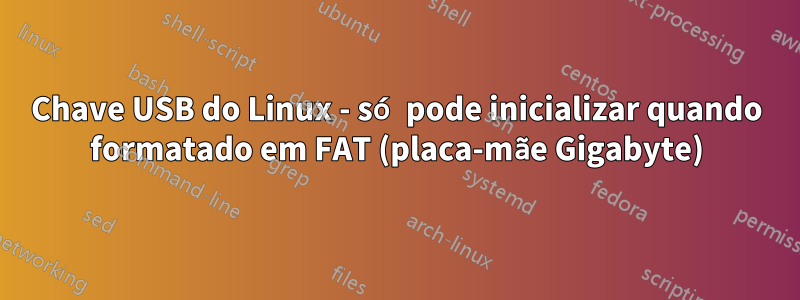 Chave USB do Linux - só pode inicializar quando formatado em FAT (placa-mãe Gigabyte)
