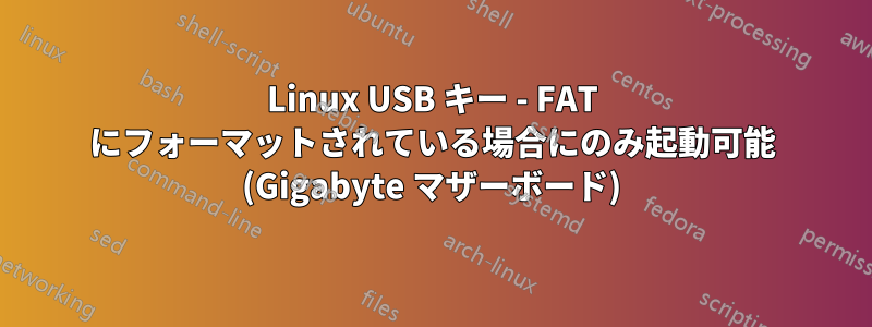 Linux USB キー - FAT にフォーマットされている場合にのみ起動可能 (Gigabyte マザーボード)