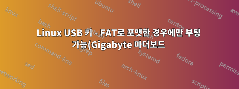 Linux USB 키 - FAT로 포맷한 경우에만 부팅 가능(Gigabyte 마더보드)