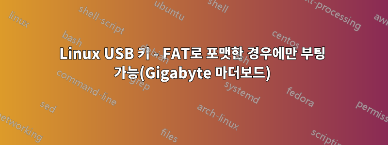 Linux USB 키 - FAT로 포맷한 경우에만 부팅 가능(Gigabyte 마더보드)