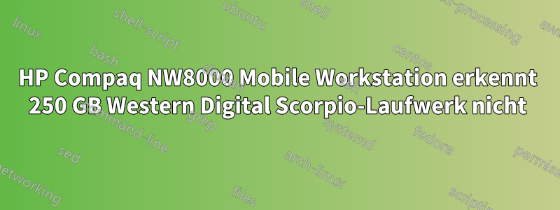 HP Compaq NW8000 Mobile Workstation erkennt 250 GB Western Digital Scorpio-Laufwerk nicht
