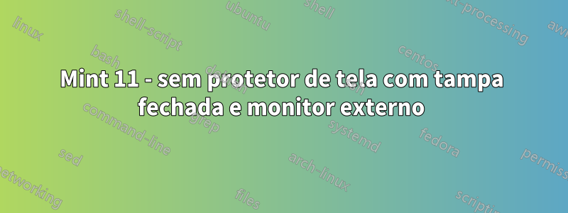 Mint 11 - sem protetor de tela com tampa fechada e monitor externo