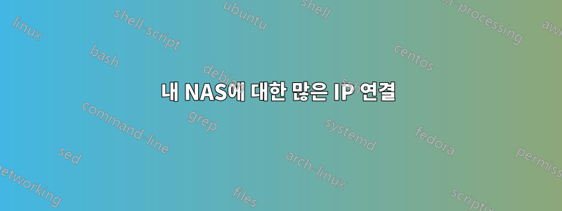 내 NAS에 대한 많은 IP 연결