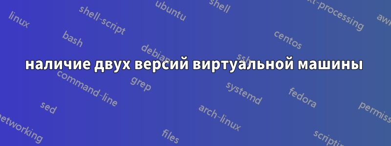 наличие двух версий виртуальной машины