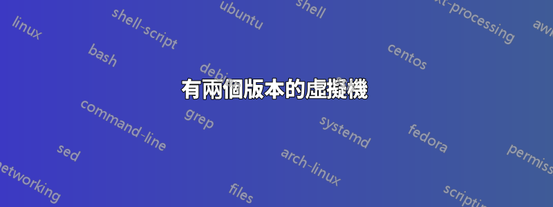 有兩個版本的虛擬機