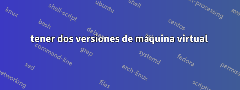 tener dos versiones de máquina virtual