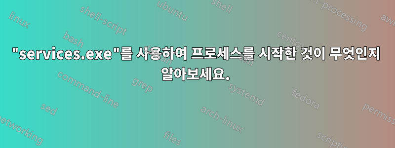 "services.exe"를 사용하여 프로세스를 시작한 것이 무엇인지 알아보세요.