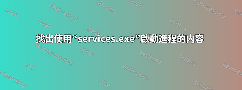 找出使用“services.exe”啟動進程的內容
