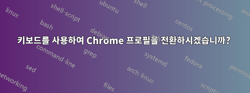 키보드를 사용하여 Chrome 프로필을 전환하시겠습니까?