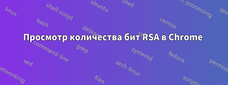 Просмотр количества бит RSA в Chrome