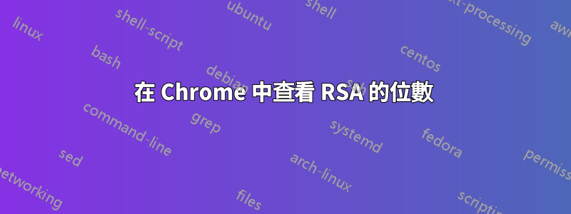在 Chrome 中查看 RSA 的位數