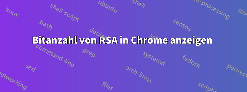 Bitanzahl von RSA in Chrome anzeigen