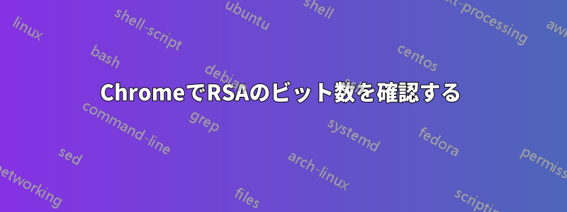 ChromeでRSAのビット数を確認する