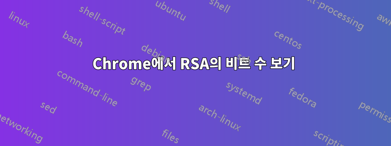 Chrome에서 RSA의 비트 수 보기