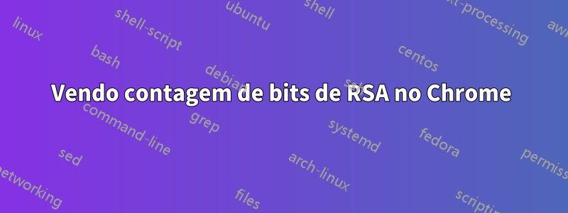 Vendo contagem de bits de RSA no Chrome