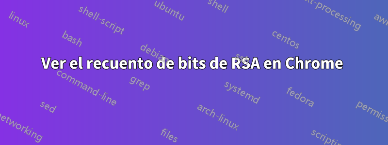 Ver el recuento de bits de RSA en Chrome