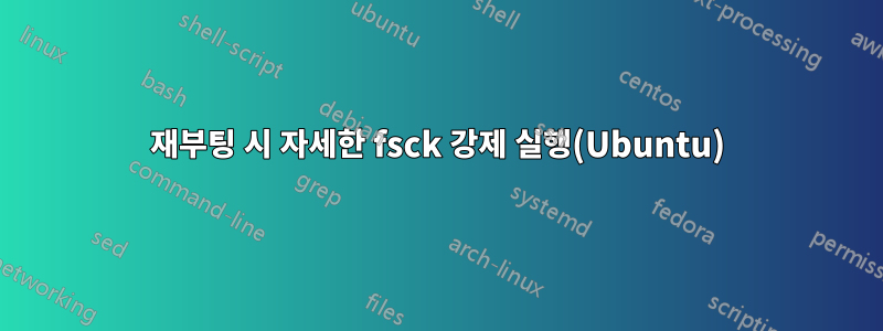 재부팅 시 자세한 fsck 강제 실행(Ubuntu)