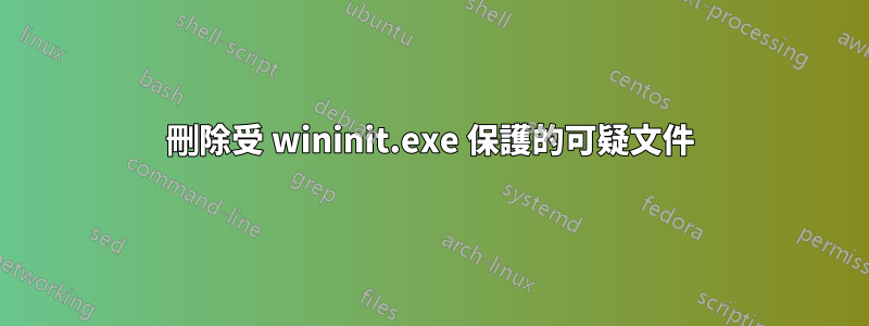 刪除受 wininit.exe 保護的可疑文件