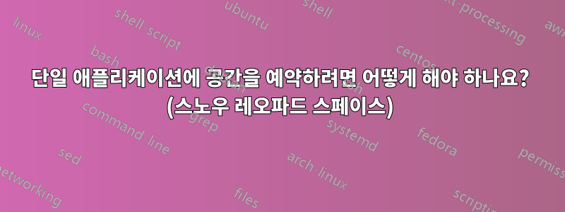 단일 애플리케이션에 공간을 예약하려면 어떻게 해야 하나요? (스노우 레오파드 스페이스)