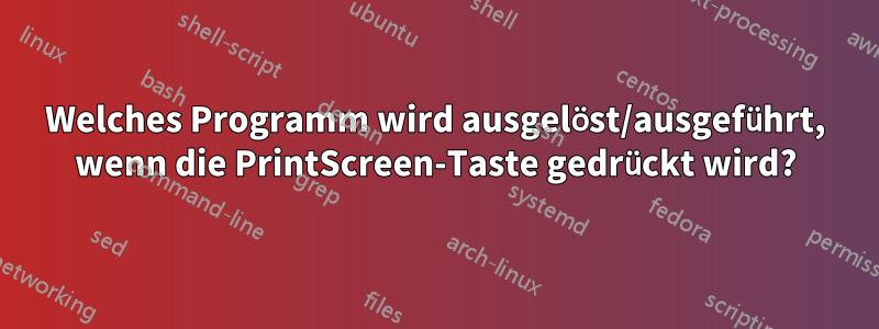 Welches Programm wird ausgelöst/ausgeführt, wenn die PrintScreen-Taste gedrückt wird?