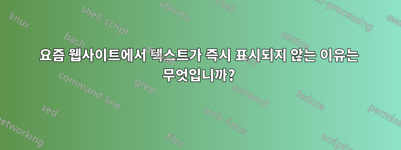 요즘 웹사이트에서 텍스트가 즉시 표시되지 않는 이유는 무엇입니까?