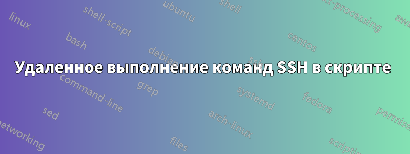 Удаленное выполнение команд SSH в скрипте