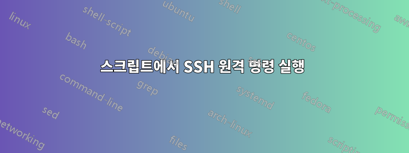 스크립트에서 SSH 원격 명령 실행