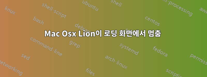 Mac Osx Lion이 로딩 화면에서 멈춤