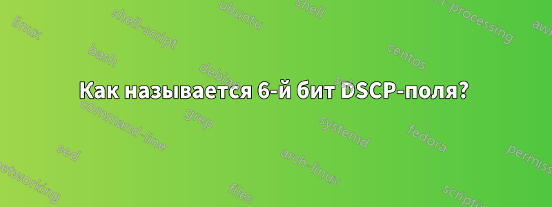 Как называется 6-й бит DSCP-поля?