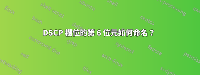 DSCP 欄位的第 6 位元如何命名？